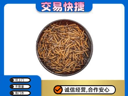 醴陵市高价回收散虫草